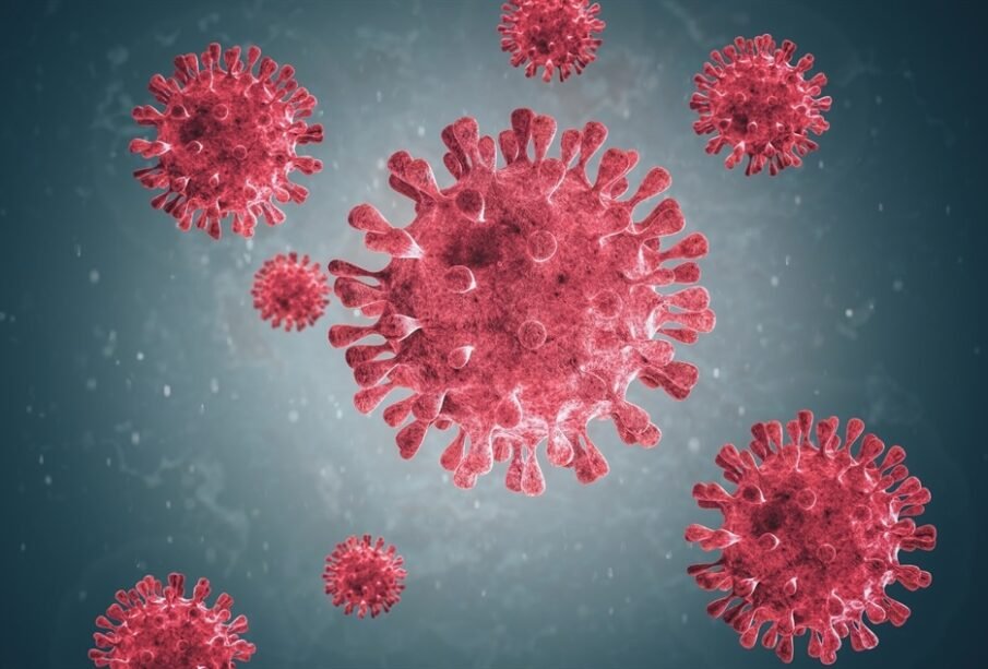 New variants of human metapneumovirus surge in Spain post-COVID | Baaghi TV