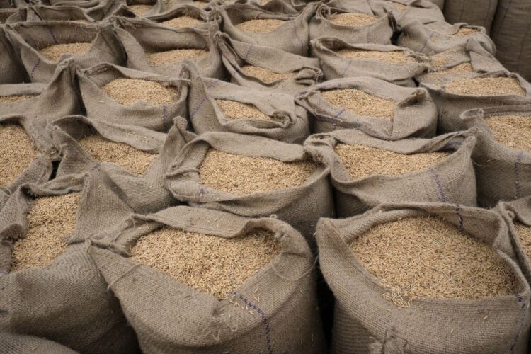 India’s rice ban strains the global grains supply | Baaghi TV
