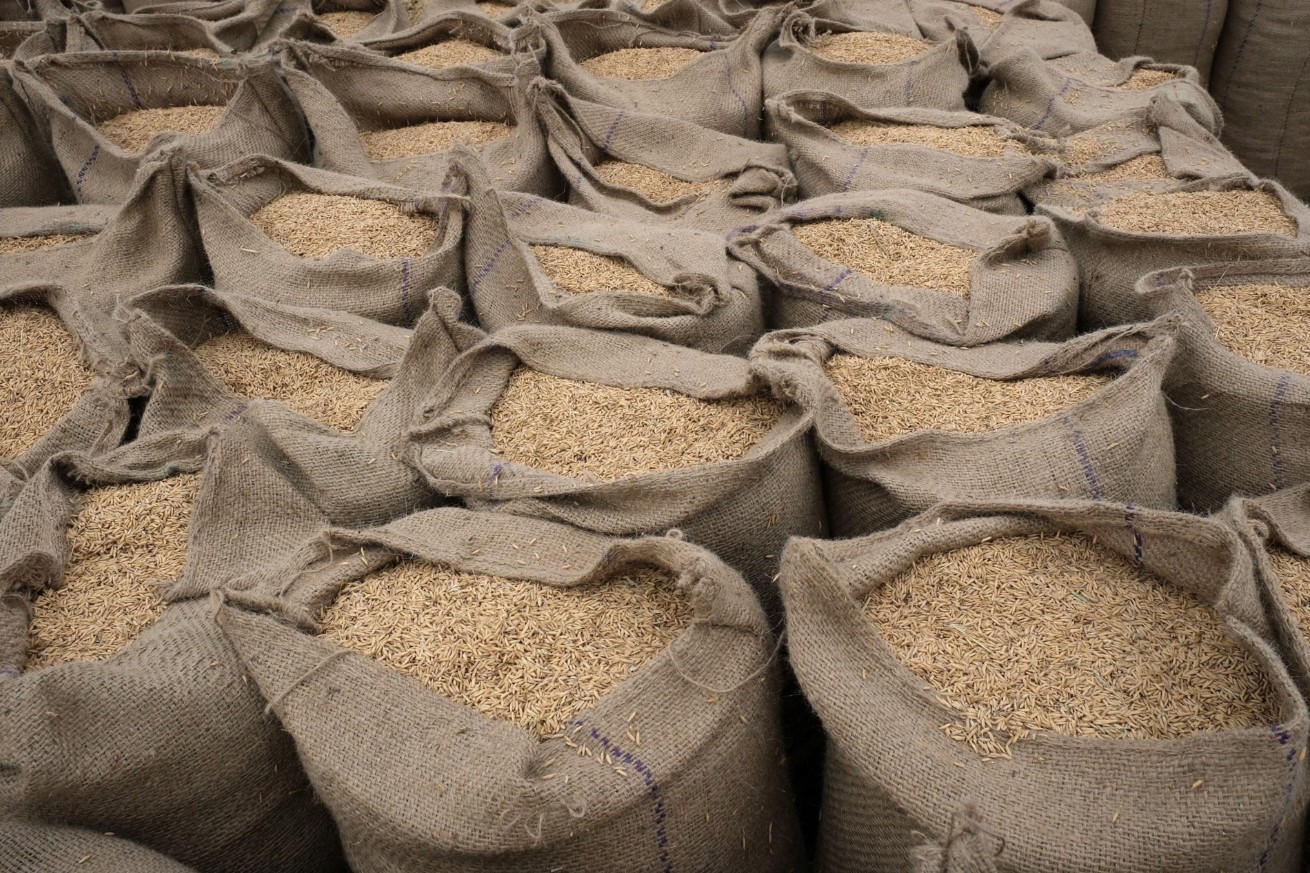 India’s rice ban strains the global grains supply | Baaghi TV