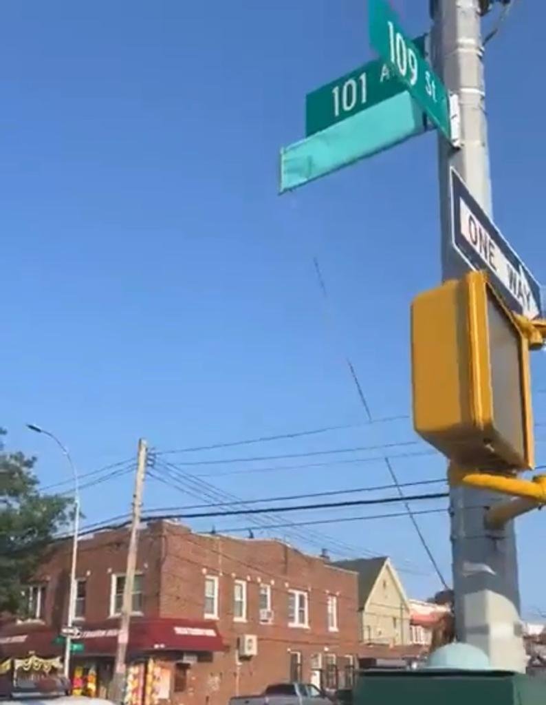 New York Street renamed to Honor Allama Iqbal, Pakistani Heritage | Baaghi TV