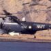 nay sea king