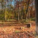 Appeal after man indecently exposed himself to woman at Great Shelford nature reserve