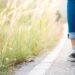 How can Backwards Walking benefit your everyday Health? | Baaghi TV