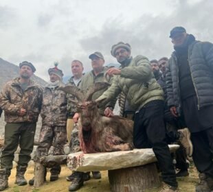 3rd Markhor Hunting Trophy | US Citizen Robert Myles Hall Successfully Hunts Kashmir Markhor | Baaghi TV