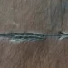 English Poet, William Blake's 'Teenage' Engravings Discovered | Baaghi TV