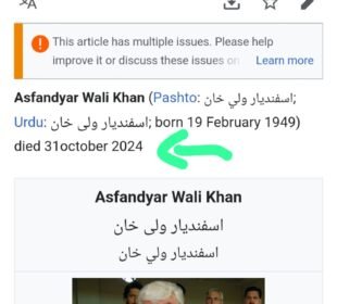 Wikipedia Declares Senior ANP leader 'Dead', raising concerns about its Factual Credibility | Baaghi TV