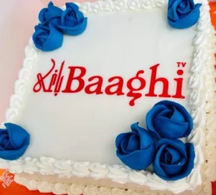 Baaghi TV Successfully Completes 13 Years | Baaghi TV