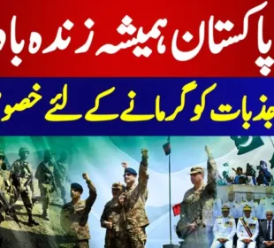Patriotic anthem "Long Live Pakistan" released | Baaghi TV