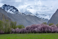 Business Leader Flags ‘State Failure’ in Gilgit-Baltistan | Baaghi TV