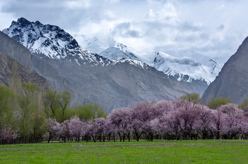 Business Leader Flags ‘State Failure’ in Gilgit-Baltistan | Baaghi TV