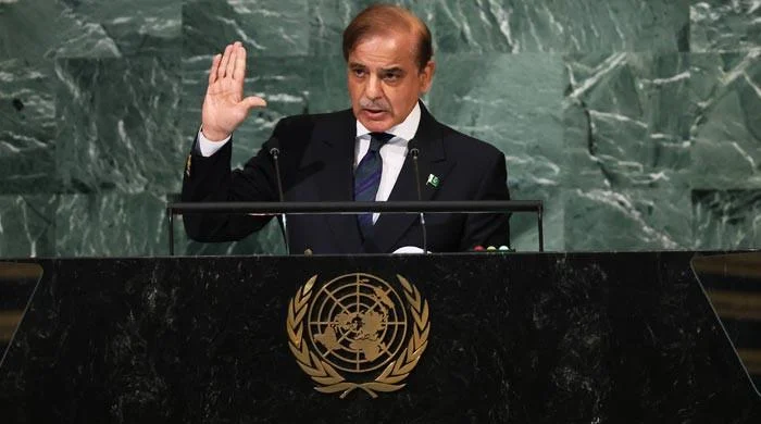 PM Shehbaz Welcomes Gaza Ceasefire, Pays Tribute to Palestinian Resilience | Baaghi TV