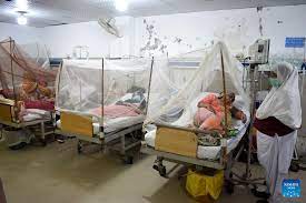Dengue Cases in Pakistan