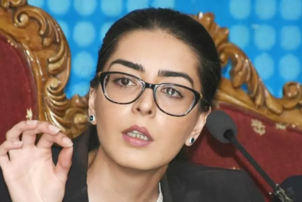 Diplomatic Concerns as Norway Envoy Attends Mazari Hearing | Baaghi TV