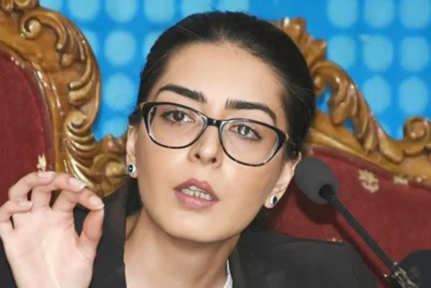 Diplomatic Concerns as Norway Envoy Attends Mazari Hearing | Baaghi TV